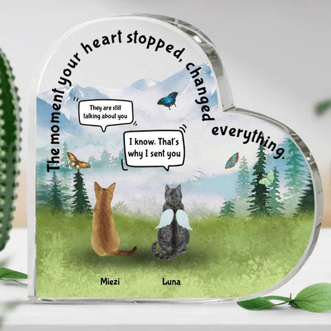 The moment among cats - Personalised glass heart - Featured Image