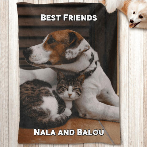 Own photo - Personalised pet blanket - Featured Image