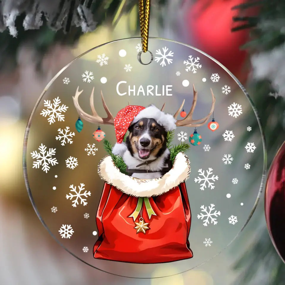 Christmas Pet photo Personalised acrylic ornament Pet Printed EU