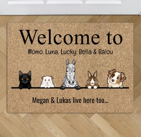 All my furry friends - Personalised Doormat - Featured Image