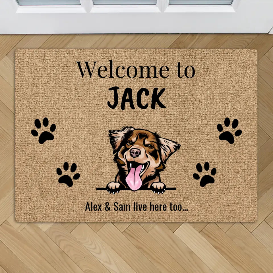 Welcome Mat Personalized Pet Mat Food And Water Mats Water Dirt